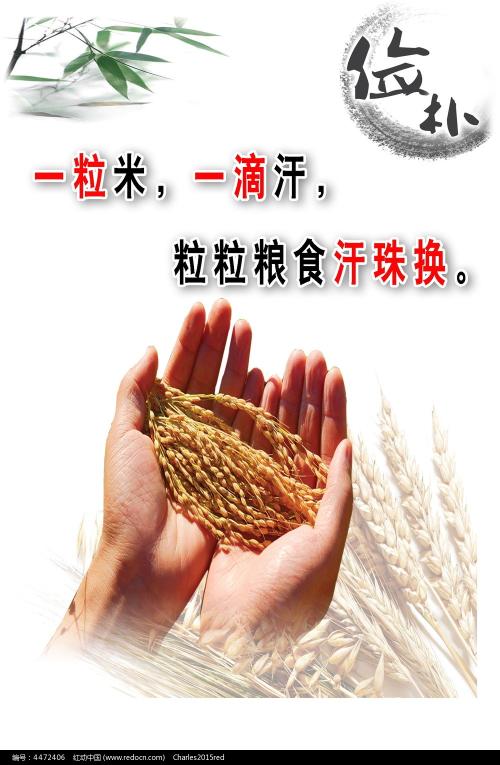枫叶卡和绿卡哪个好